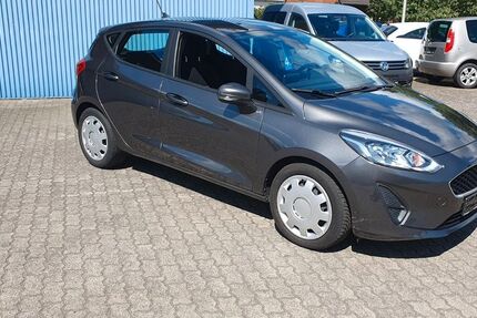 Ford Fiesta 110.255 km 8.500 &euro; Husum 25813