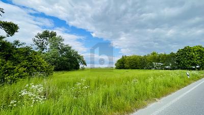 LEBEN IN DER NATUR AN DER NORDSEEKÜSTE - Grundstück Wesselburenerkoog | Angebot:25879779