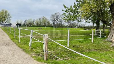 RESTHOF AM REITERHOF - Einfamilienhaus Oldersbek | Angebot:27337579