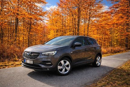 Opel Grandland (X) 99.400 km 12.700 &euro; Bredstedt 25821