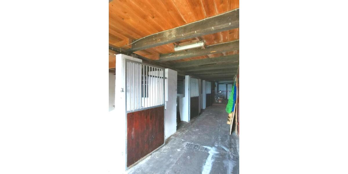 Bauernhaus, Landhaus Lunden - 10 Zimmer, 293 m&sup2;, 549.000&euro; | Angebot:22955743