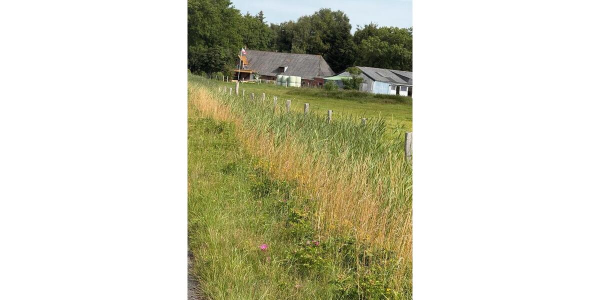 Einfamilienhaus Hattstedt - 150.000&euro; | Angebot:27119360