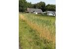 Einfamilienhaus Hattstedt - 150.000&euro; | Angebot:27119360