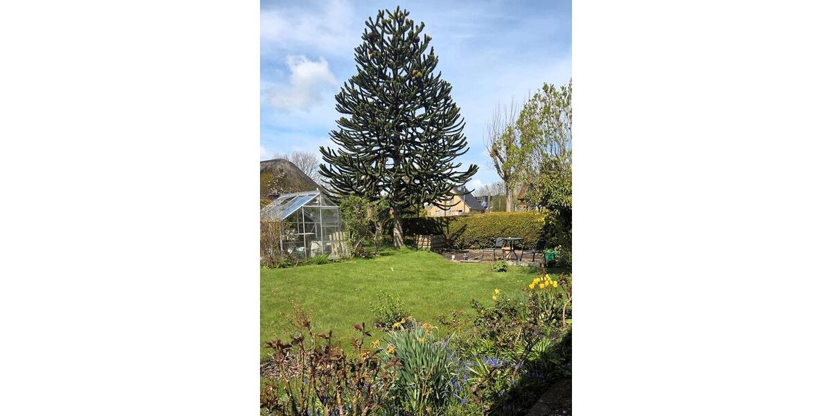 Einfamilienhaus Rantrum - 6 Zimmer, 218 m&sup2;, 389.000&euro; | Angebot:27117709