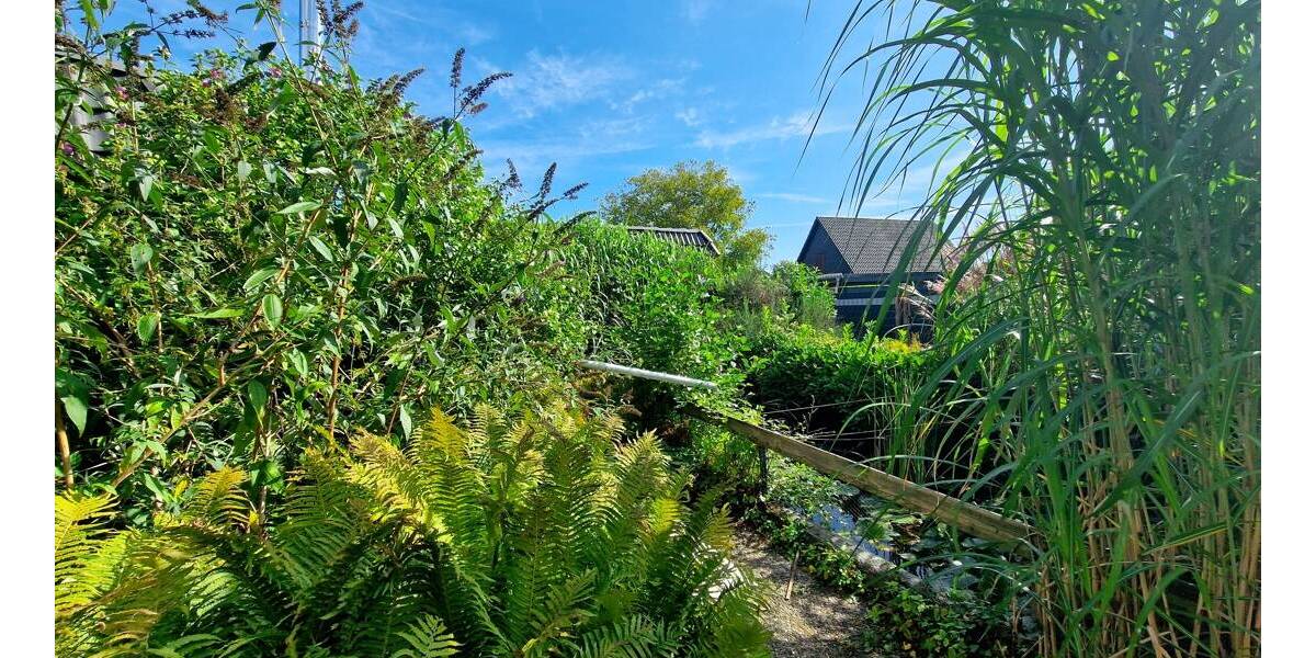 Einfamilienhaus Krempel - 7 Zimmer, 280 m&sup2;, 279.000&euro; | Angebot:25697279