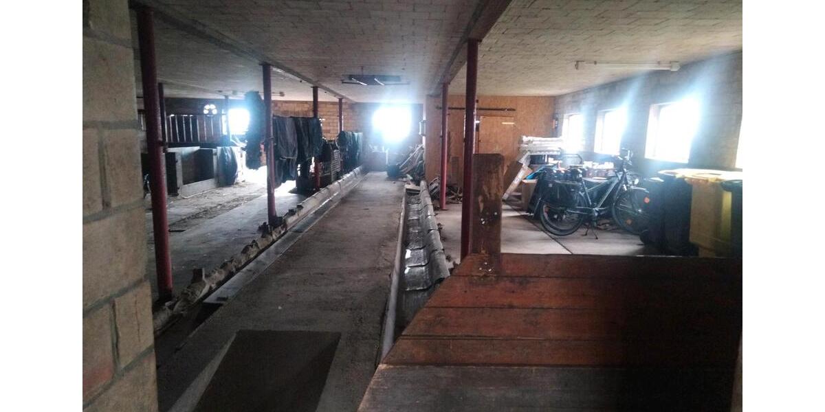 Bauernhaus, Landhaus Wester-Ohrstedt Ohrstedt - 6 Zimmer, 200 m&sup2;, 390.000&euro; | Angebot:25941279