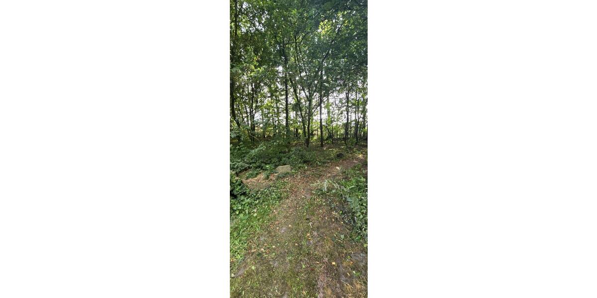 Einfamilienhaus Eggebek - 5 Zimmer, 117 m&sup2;, 269.000&euro; | Angebot:25930570