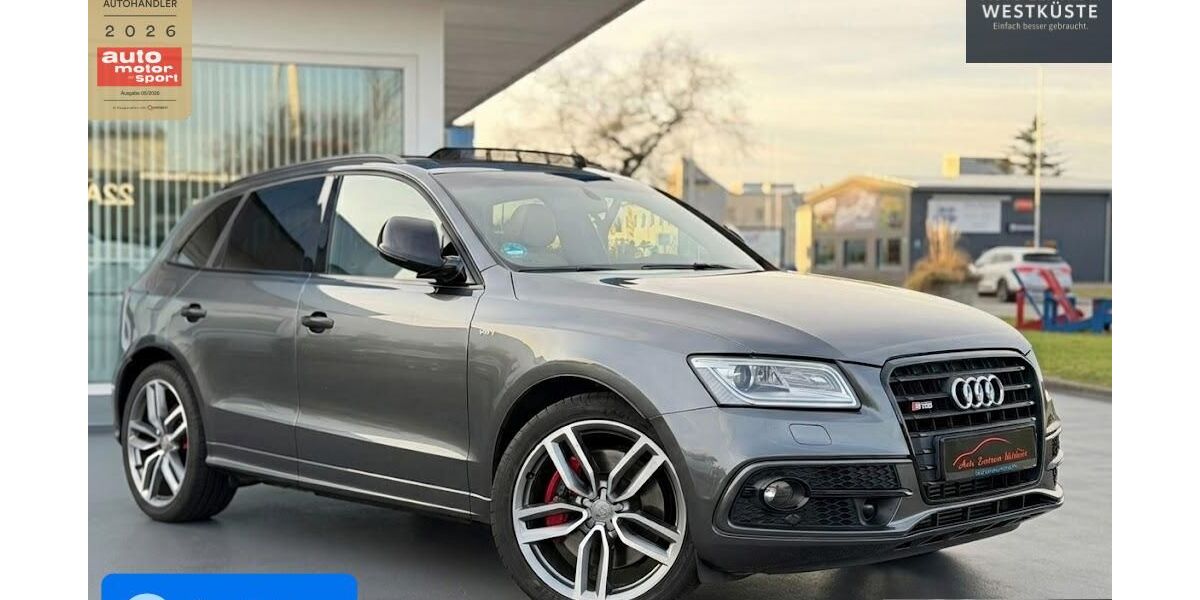 Audi SQ5 131.915 km 28.975 &euro; Husum 25813