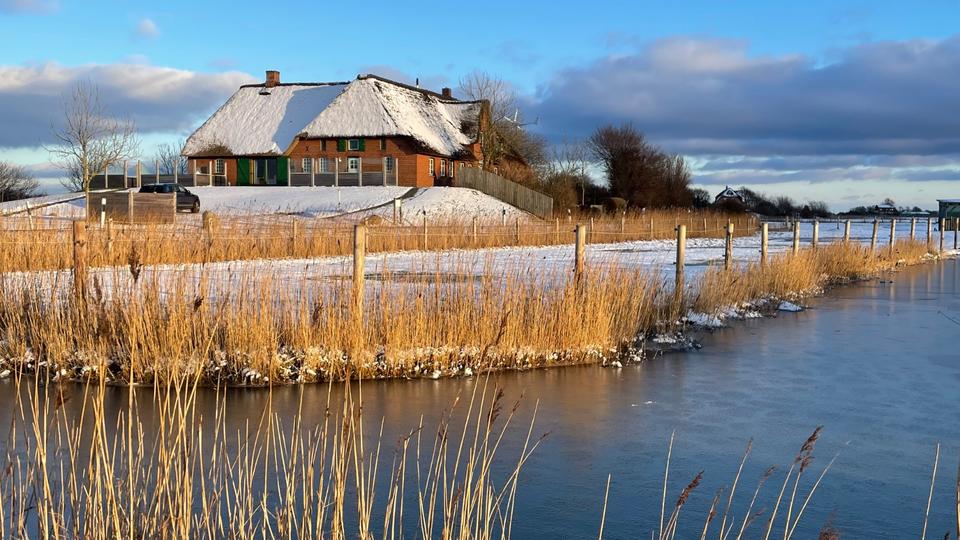 Mehrfamilienhaus, Wohnhaus Pellworm - 12 Zimmer, 350 m&sup2;, 1.750.000&euro; | Angebot:20561730