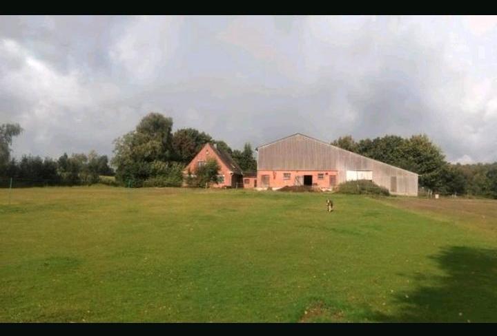 Bauernhaus, Landhaus Wester-Ohrstedt Ohrstedt - 6 Zimmer, 200 m&sup2;, 390.000&euro; | Angebot:25941279