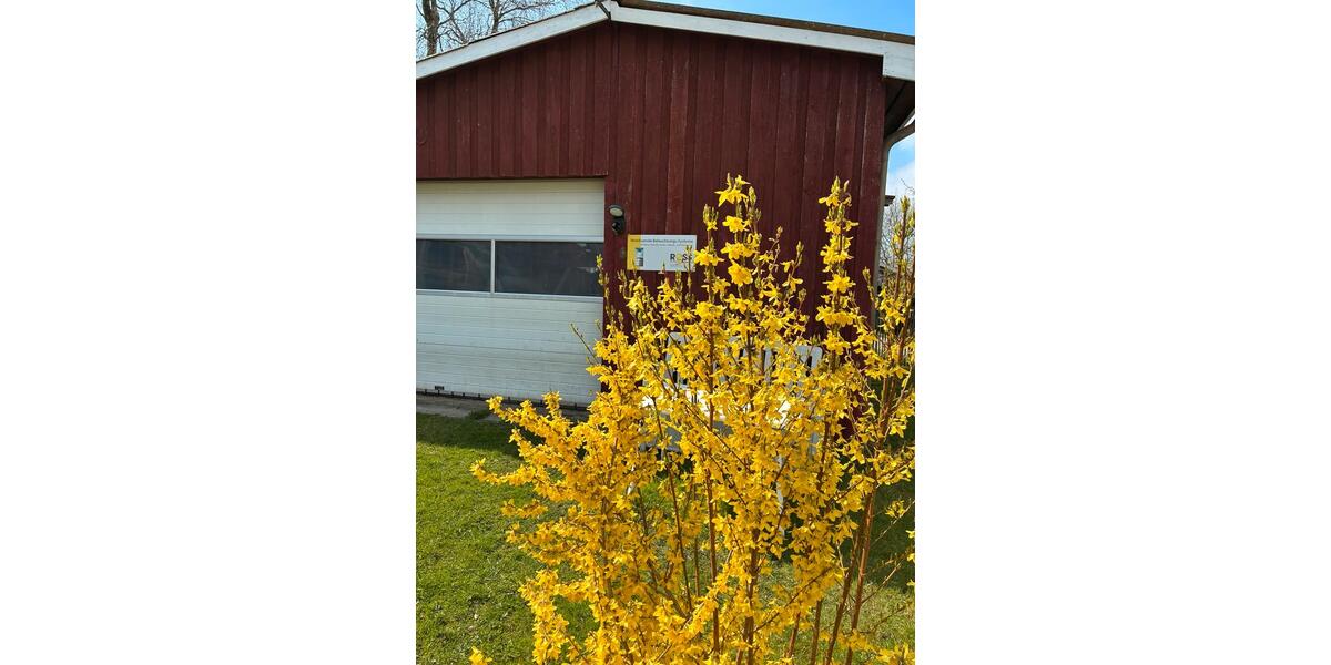 Bauernhaus, Landhaus Langenhorn - 6 Zimmer, 150 m&sup2;, 299.000&euro; | Angebot:26687664