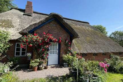 Haus Drage - 4 Zimmer, 90 m&sup2;, 259.000&euro; | Angebot:24795670