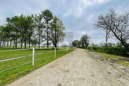 Haus Oldersbek - 6 Zimmer, 280 m&sup2;, 799.000&euro; | Angebot:26753590