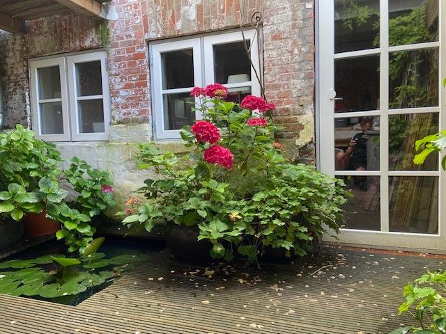 Reihenhaus Friedrichstadt - 3 Zimmer, 85 m&sup2;, 419.000&euro; | Angebot:27027196