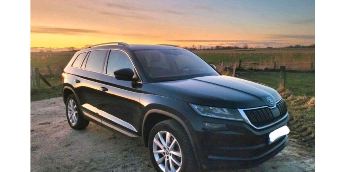 Skoda Kodiaq 91.000 km 21.000 &euro; Krempel 25774