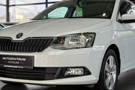 Skoda Fabia 110.011 km 8.390 &euro; Husum 25813