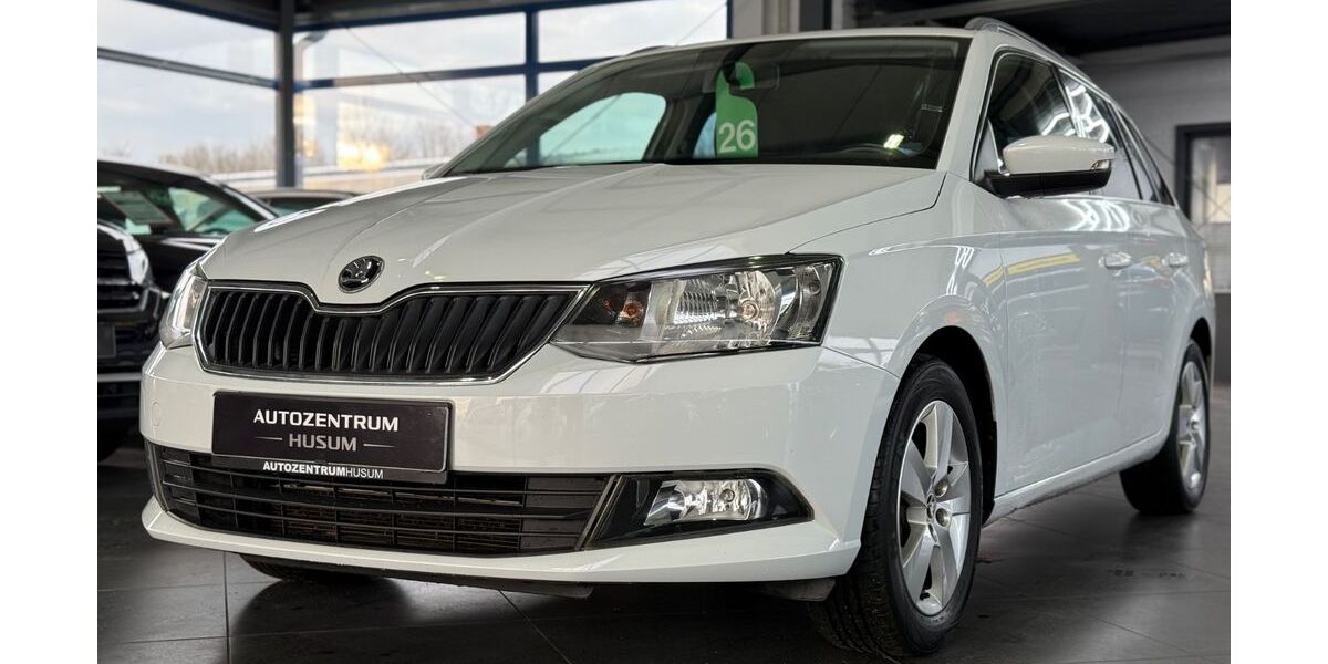 Skoda Fabia 110.011 km 8.390 &euro; Husum 25813