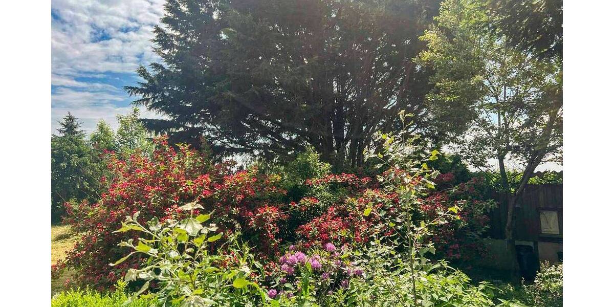 Bauernhaus, Landhaus Almdorf - 5 Zimmer, 117 m&sup2;, 160.000&euro; | Angebot:25929030