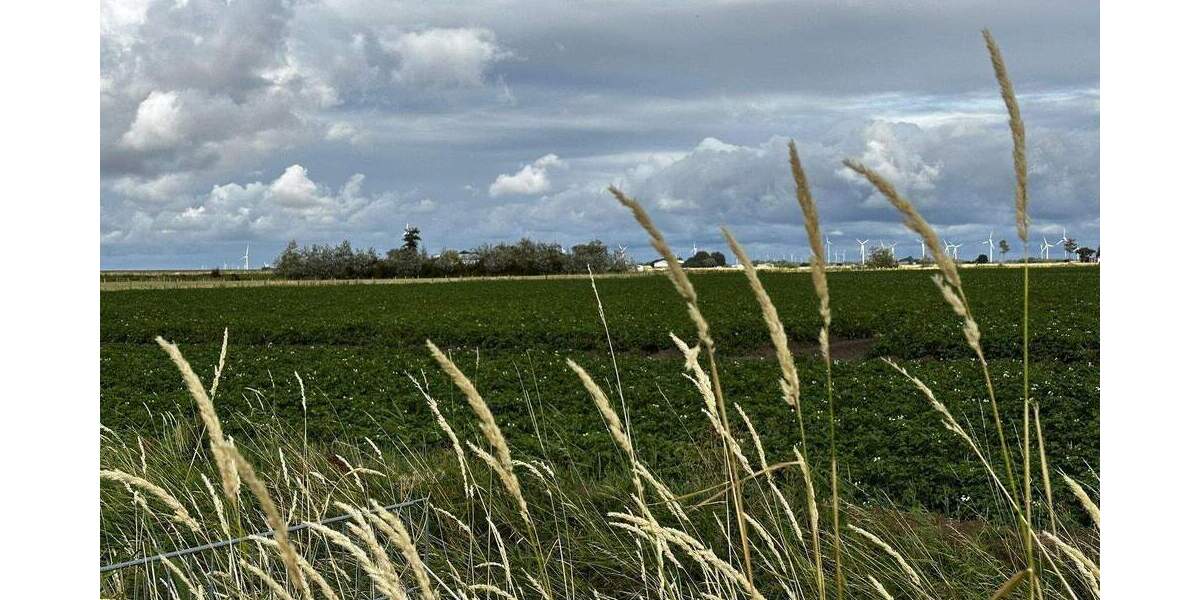 Mehrfamilienhaus, Wohnhaus Wesselburenerkoog - 4 Zimmer, 76 m&sup2;, 369.000&euro; | Angebot:25760446