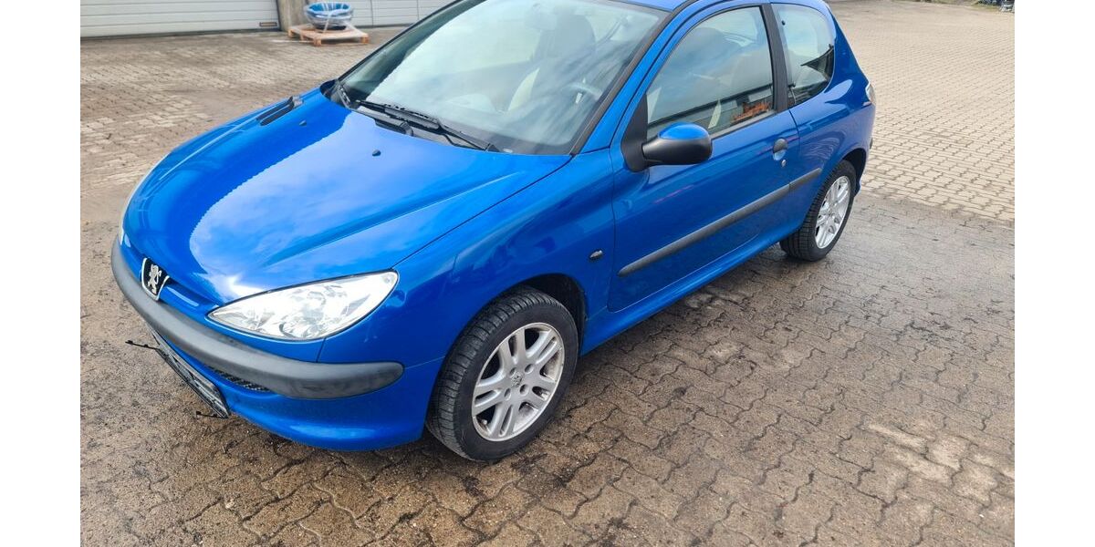 Peugeot 206 162.360 km 2.200 &euro; Husum 25813