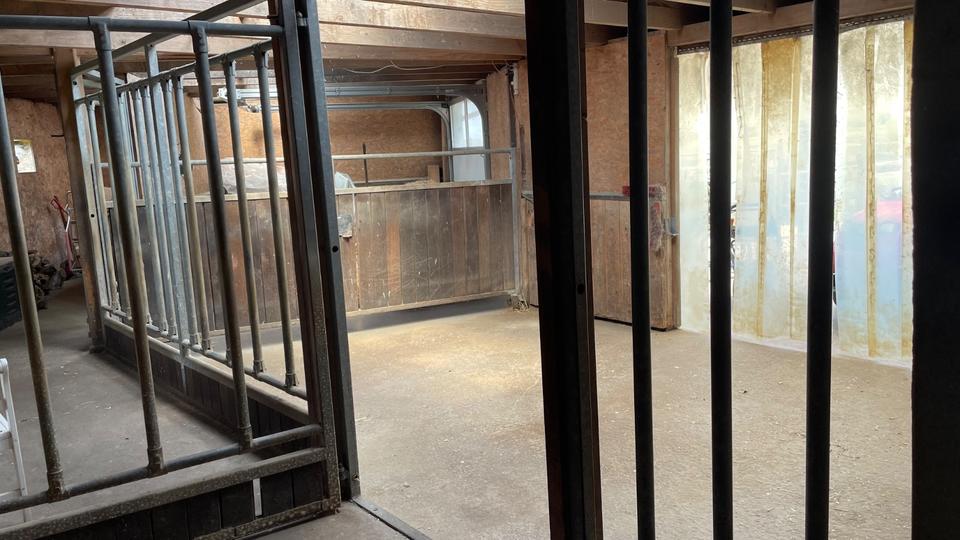 Mehrfamilienhaus, Wohnhaus Pellworm - 12 Zimmer, 350 m&sup2;, 1.750.000&euro; | Angebot:20561730