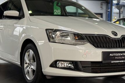 Skoda Fabia 110.011 km 8.390 &euro; Husum 25813