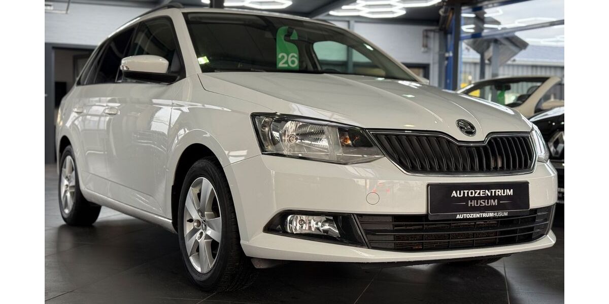 Skoda Fabia 110.011 km 8.390 &euro; Husum 25813