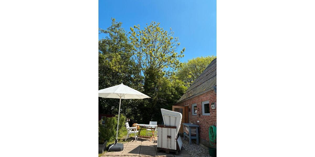 Bauernhaus, Landhaus Langenhorn - 6 Zimmer, 150 m&sup2;, 299.000&euro; | Angebot:26687664