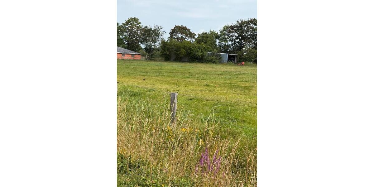 Einfamilienhaus Hattstedt - 150.000&euro; | Angebot:27119360
