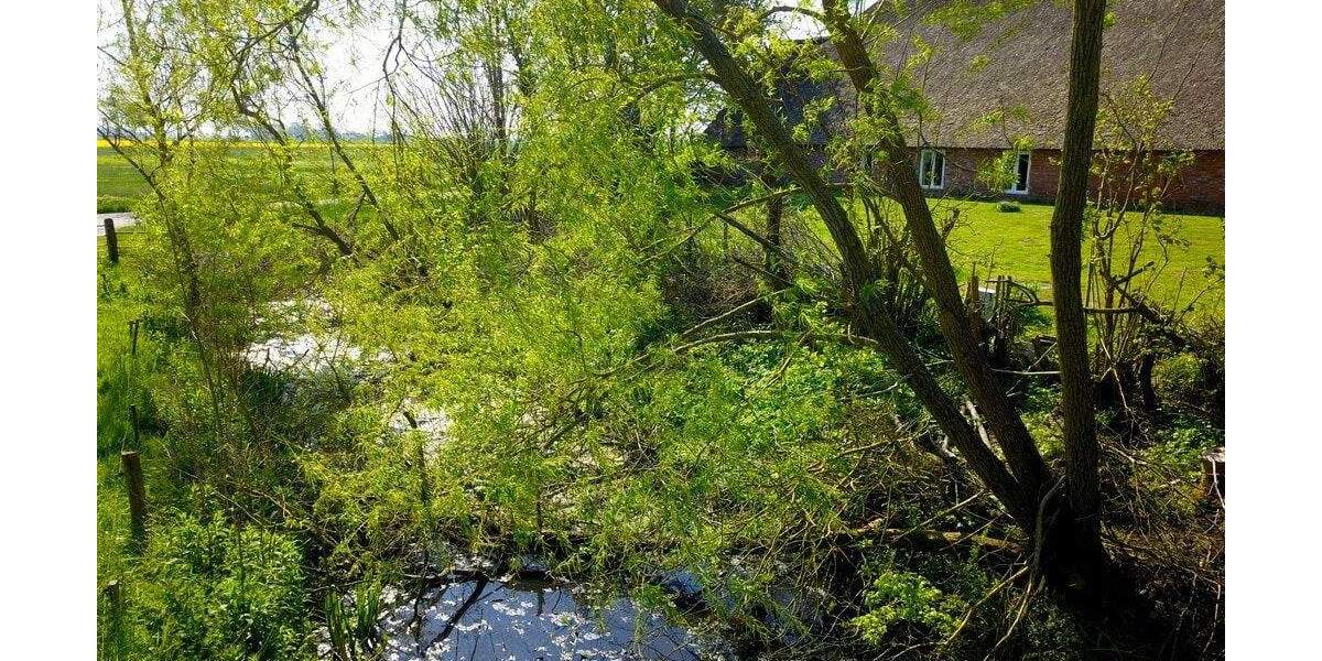 Etagenwohnung Tönning - 3 Zimmer, 109 m&sup2;, 239.000&euro; | Angebot:25672920