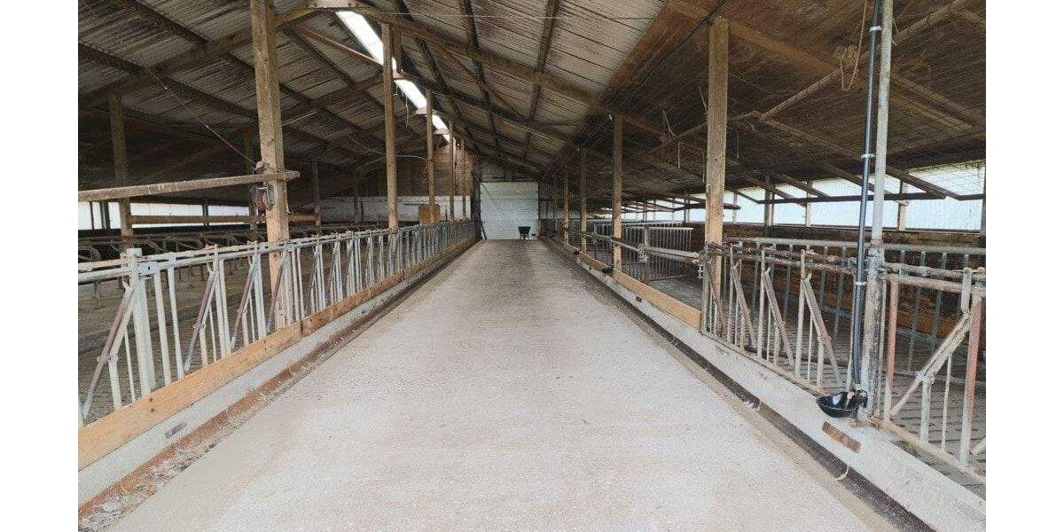 Bauernhaus, Landhaus Pellworm - 7 Zimmer, 172 m&sup2;, 349.000&euro; | Angebot:25672660