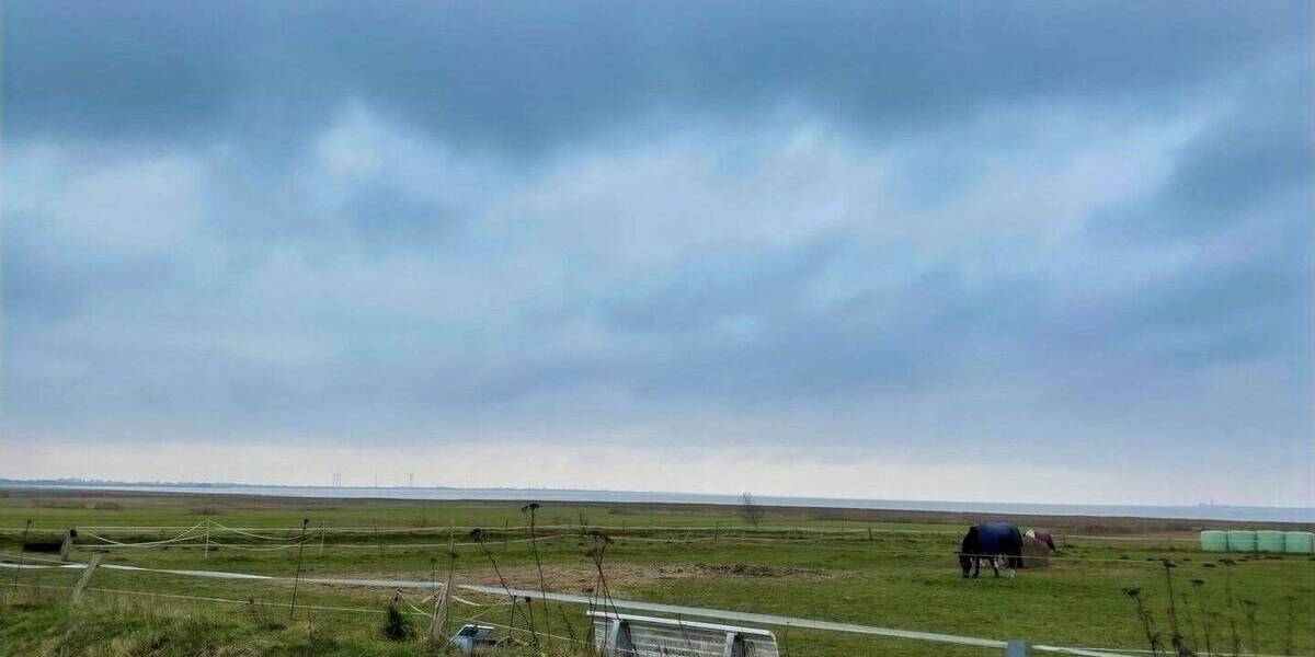 Einfamilienhaus Husum Schobüll - 5 Zimmer, 125 m&sup2;, 798.000&euro; | Angebot:26119453