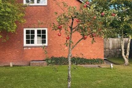 Wohnung Wester-Ohrstedt Ohrstedt - 4 Zimmer, 120 m&sup2;, 1.000&euro; | Angebot:26034307