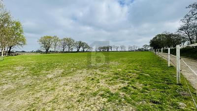 RESTHOF AM REITERHOF - Einfamilienhaus Oldersbek | Angebot:26742943