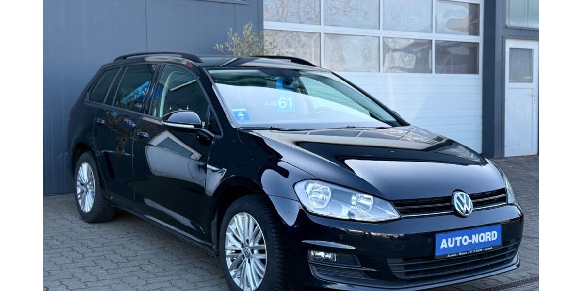 VW Golf 170.498 km 7.690 &euro; Husum 25813