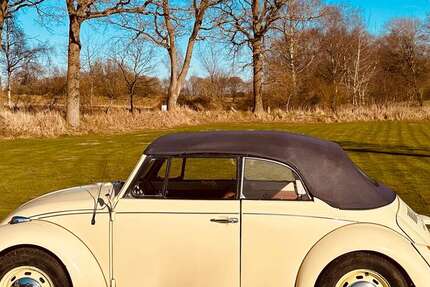 VW Käfer 99.999 km 25.500 &euro; Hennstedt 25779