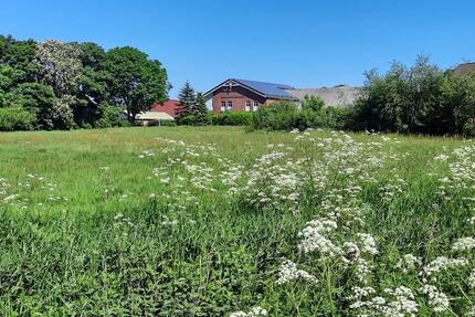 Wohnung Bordelum - 5 Zimmer, 150 m&sup2;, 1.400&euro; | Angebot:25306922