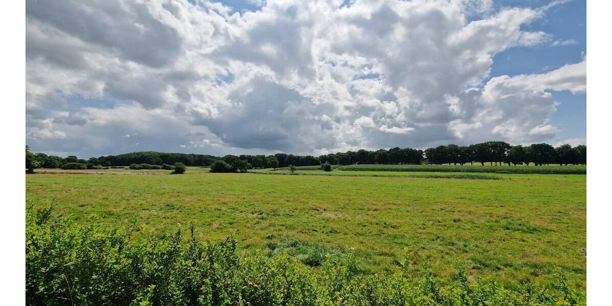 Einfamilienhaus Ostrohe - 5 Zimmer, 126 m&sup2;, 299.000&euro; | Angebot:25801258