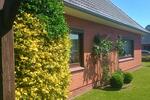 Einfamilienhaus Rantrum - 6 Zimmer, 135 m&sup2;, 298.000&euro; | Angebot:27083458