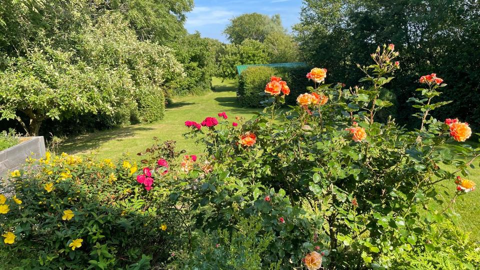 Mehrfamilienhaus, Wohnhaus Pellworm - 12 Zimmer, 350 m&sup2;, 1.750.000&euro; | Angebot:20561730