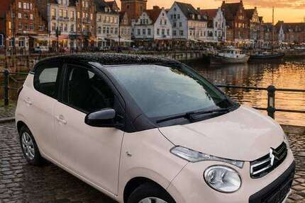 Citroen C1 152.000 km 4.950 &euro; Ostenfeld (Husum) 25872