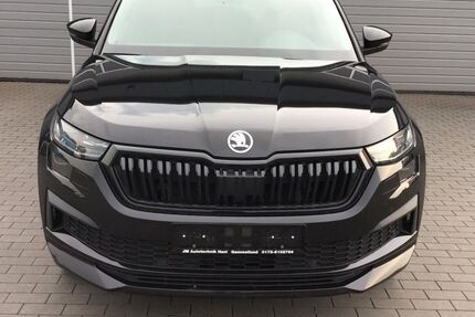 Skoda Kodiaq 170.045 km 22.555 &euro; Gammellund 24855