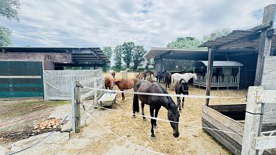 RESTHOF AM REITERHOF - Einfamilienhaus Oldersbek | Angebot:25537587