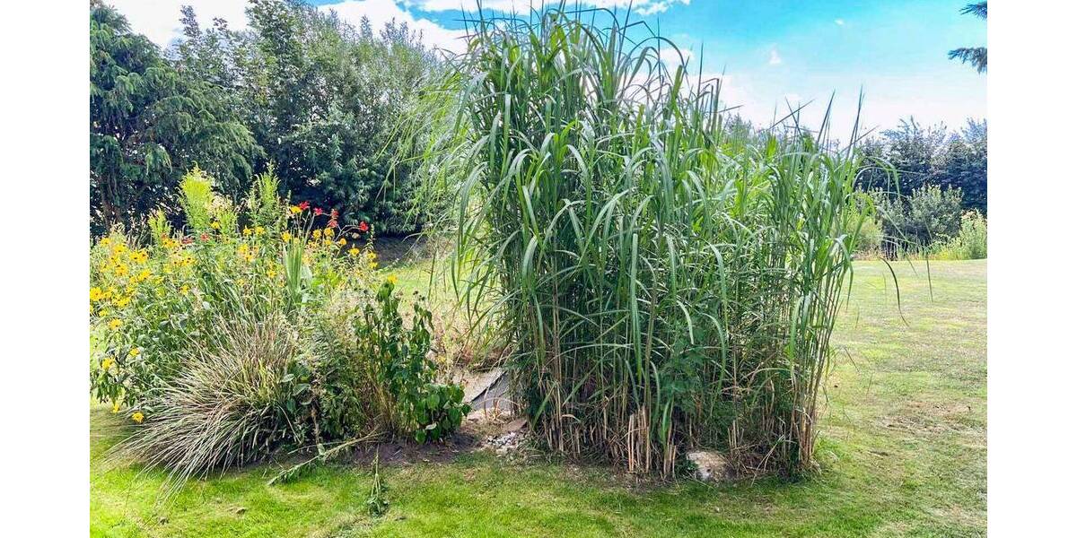 Einfamilienhaus Almdorf - 5 Zimmer, 160.000&euro; | Angebot:26037391