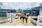 RESTHOF AM REITERHOF - Einfamilienhaus Oldersbek | Angebot:26742943