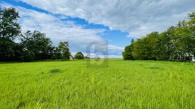 LEBEN IN DER NATUR AN DER NORDSEEKÜSTE - Grundstück Wesselburenerkoog | Angebot:25879779