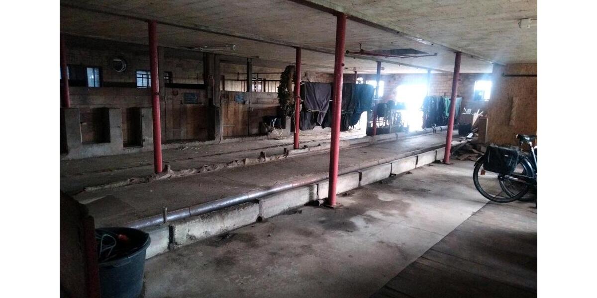 Bauernhaus, Landhaus Wester-Ohrstedt Ohrstedt - 6 Zimmer, 200 m&sup2;, 390.000&euro; | Angebot:25941279