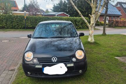 VW Lupo 217.000 km 1.200 &euro; Bordelum 25852