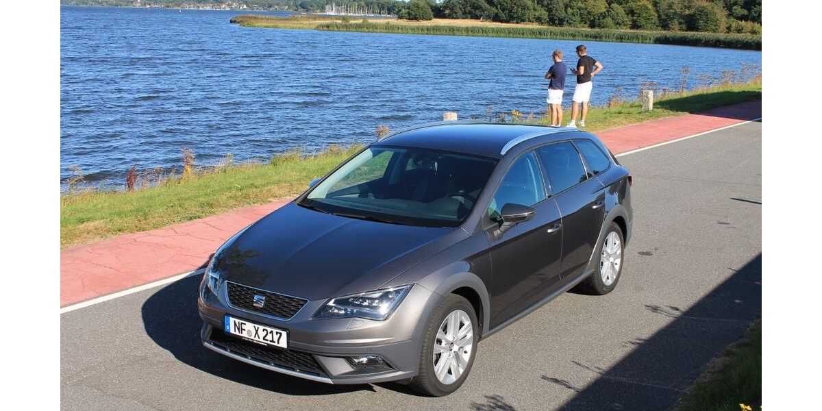 Seat Leon 116.000 km 14.999 &euro; Schwabstedt 25876
