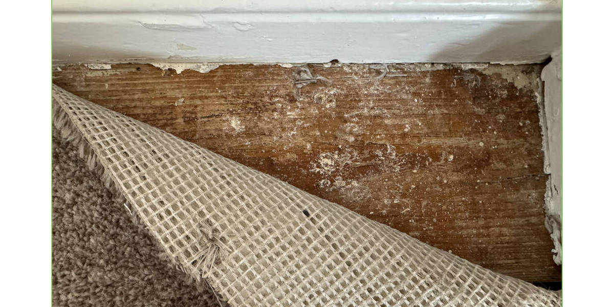 Mehrfamilienhaus, Wohnhaus Garding - 8 Zimmer, 224 m&sup2;, 249.000&euro; | Angebot:25725594